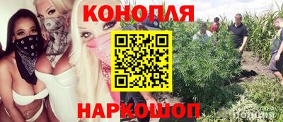 гашик Камышлов