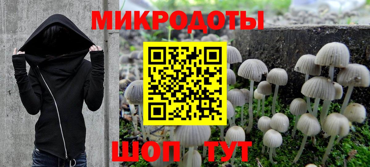 Псилоцибиновые грибы Psilocybine cubensis Кулебаки